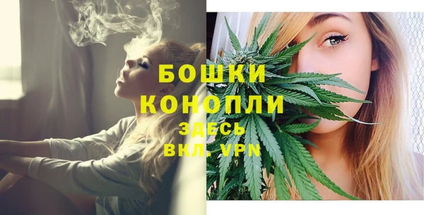 ПСИЛОЦИБИНОВЫЕ ГРИБЫ Баксан