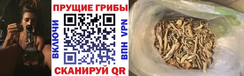 Псилоцибиновые грибы Magic Shrooms  Купить где  Хасавюрт 